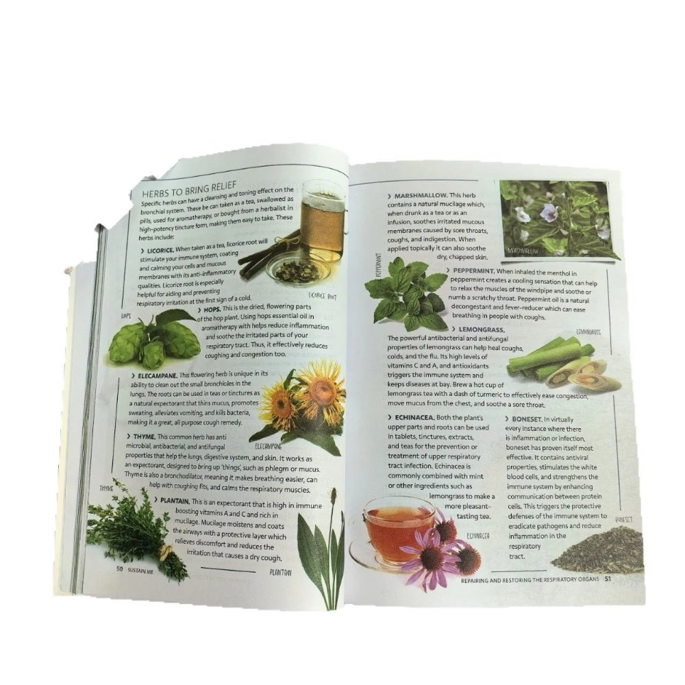 Sustain Me English Paperback โ - Health Wellness Foundation บทวิจารณ์และราคา